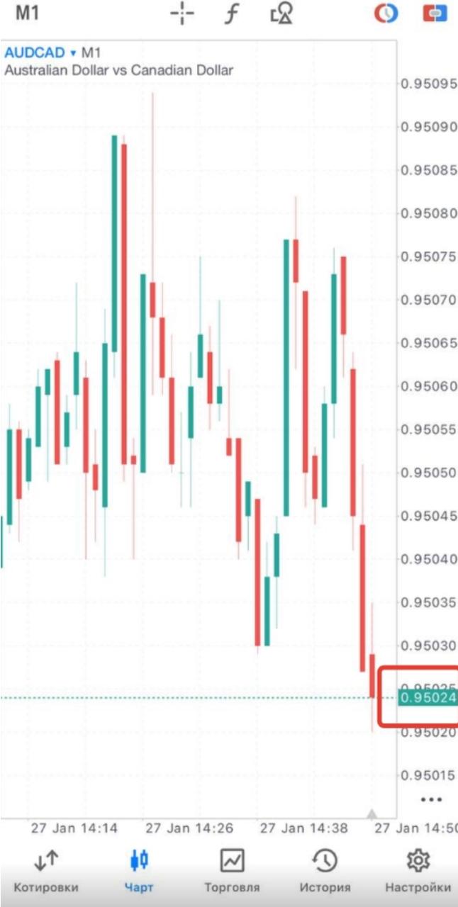 График AUDCAD в MetaTrader 5, текущая цена 0.95024 выделена на шкале справа
